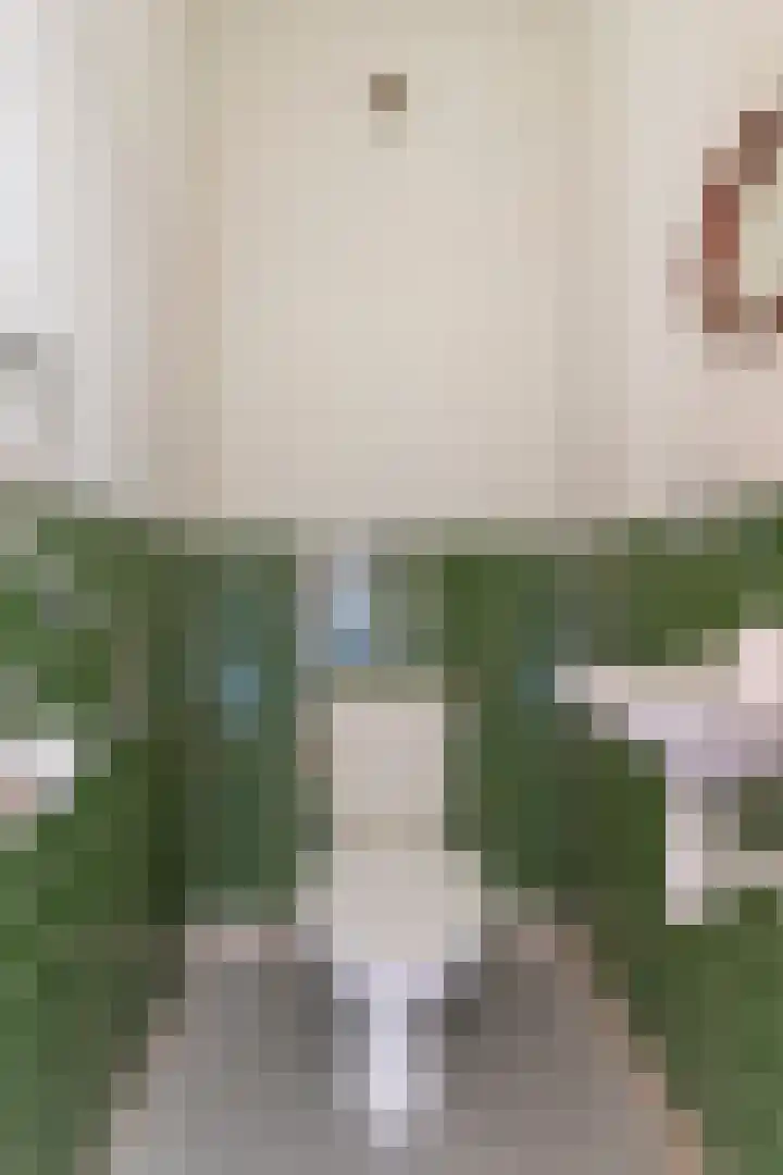 Mergelsweg 10 Heerlen thumbnail 6