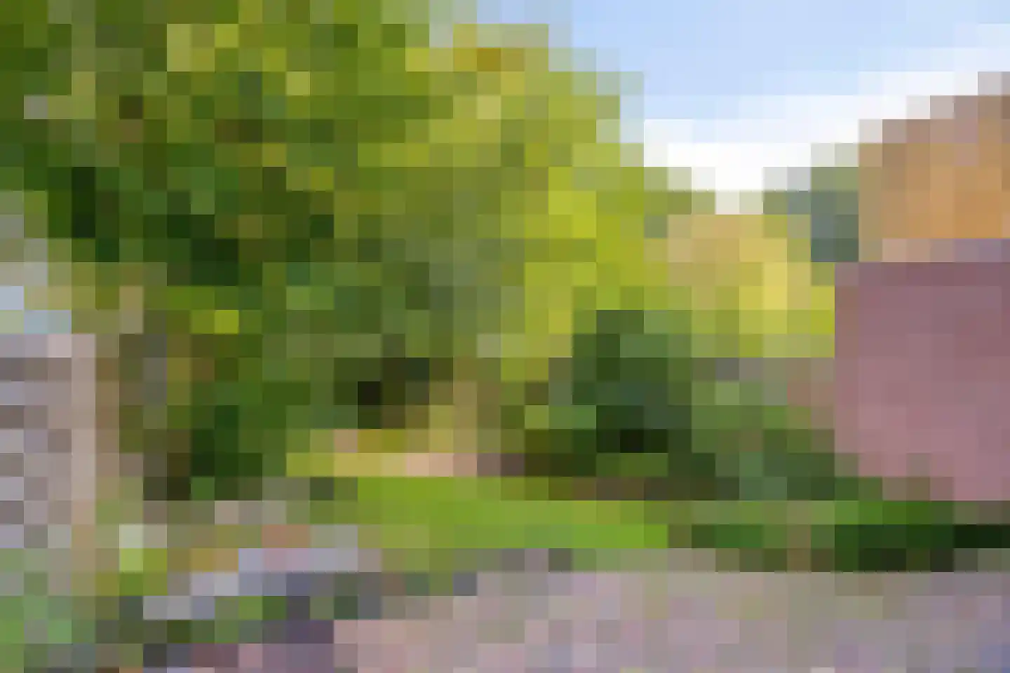 Mergelsweg 20 Heerlen thumbnail 26