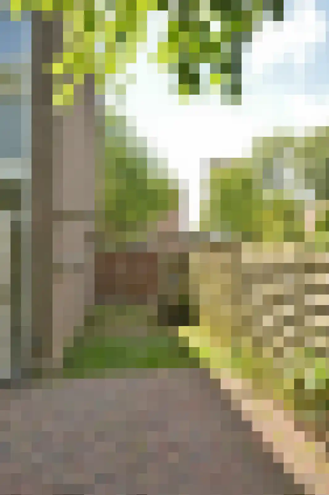 Mergelsweg 20 Heerlen thumbnail 27