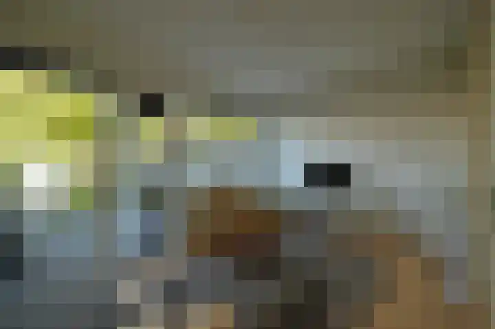 Mergelsweg 28 Heerlen thumbnail 8