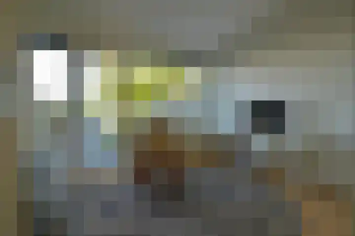 Mergelsweg 28 Heerlen thumbnail 9