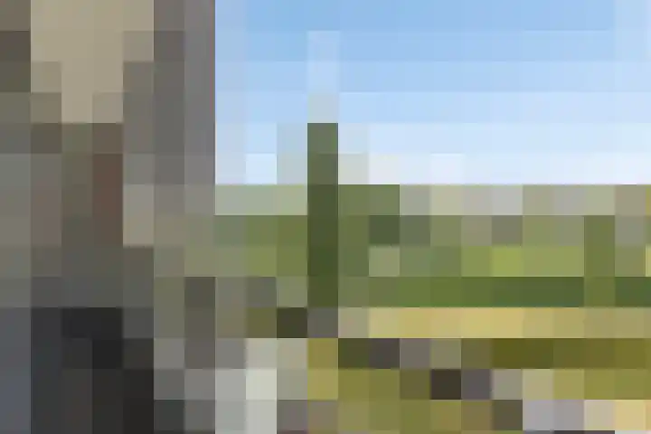 Mergelven 116 Veghel thumbnail 30
