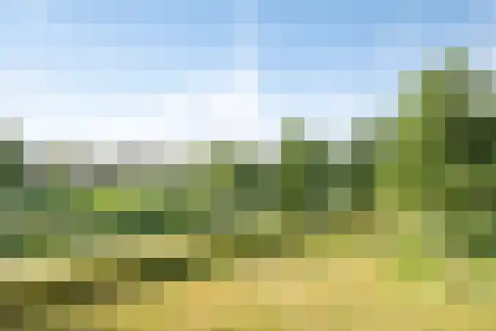 Mergelven 116 Veghel thumbnail 31