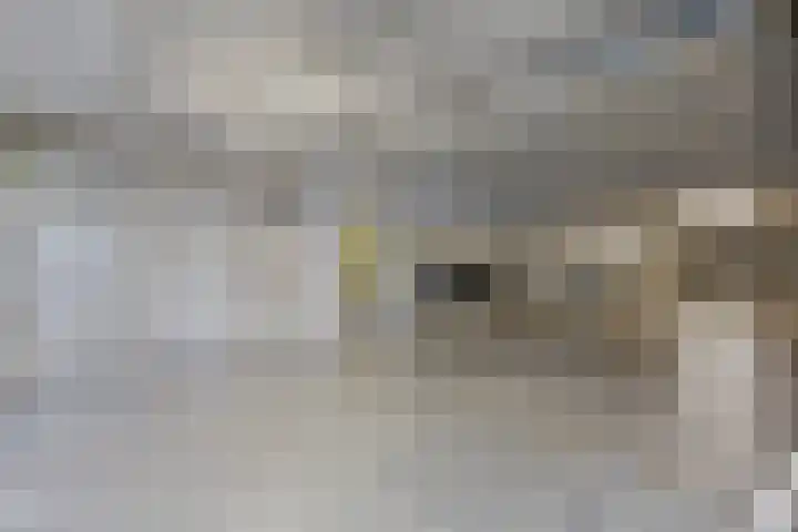 Mergelven 116 Veghel thumbnail 33