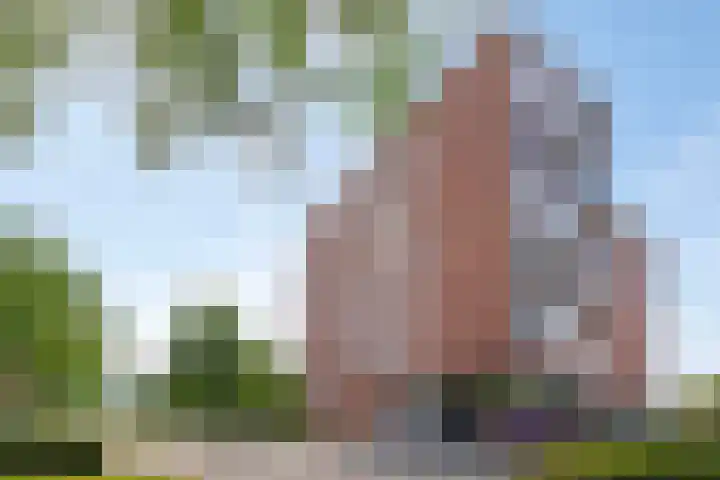 Mergelven 116 Veghel thumbnail 36