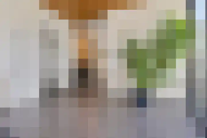 Mergelven 116 Veghel thumbnail 4