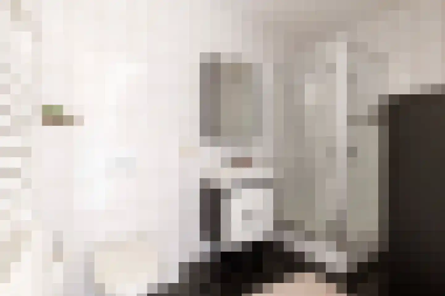 Mergelven 120 Veghel thumbnail 21