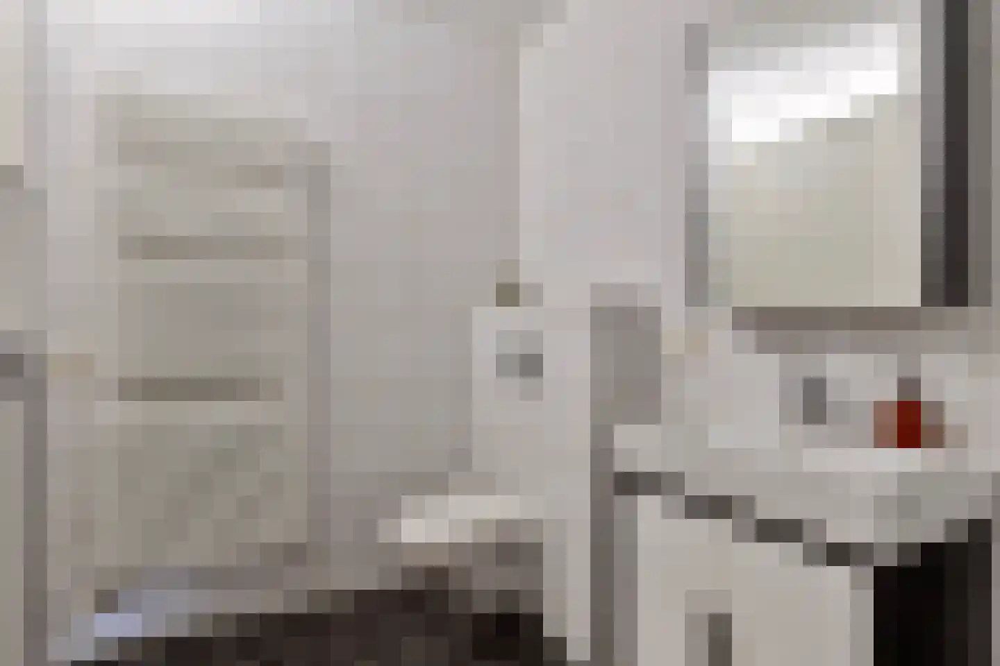 Mergelven 120 Veghel thumbnail 23