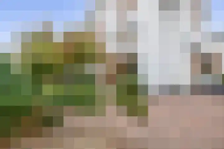 Mergelven 42 Veghel thumbnail 27