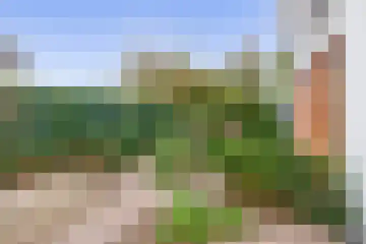 Mergelven 42 Veghel thumbnail 32