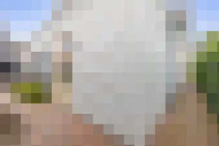 Mergelven 42 Veghel thumbnail 33