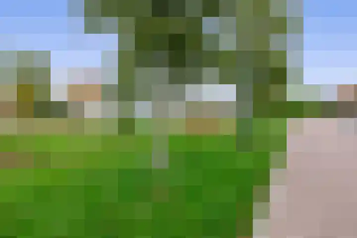 Mergelven 42 Veghel thumbnail 36
