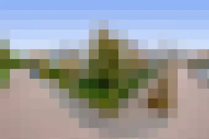 Mergelven 42 Veghel thumbnail 38