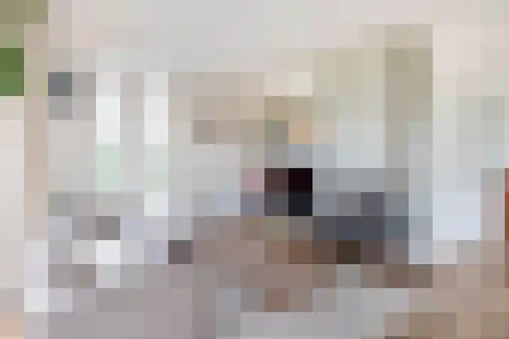 Mergelven 42 Veghel thumbnail 4