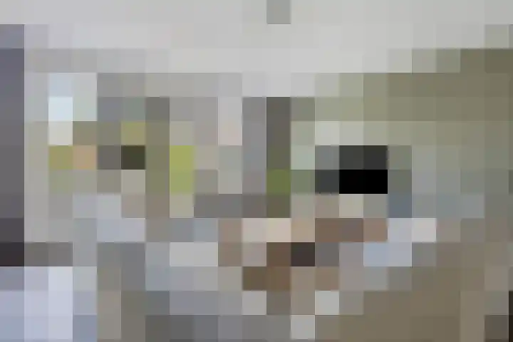 Mergelven 43 Veghel thumbnail 11