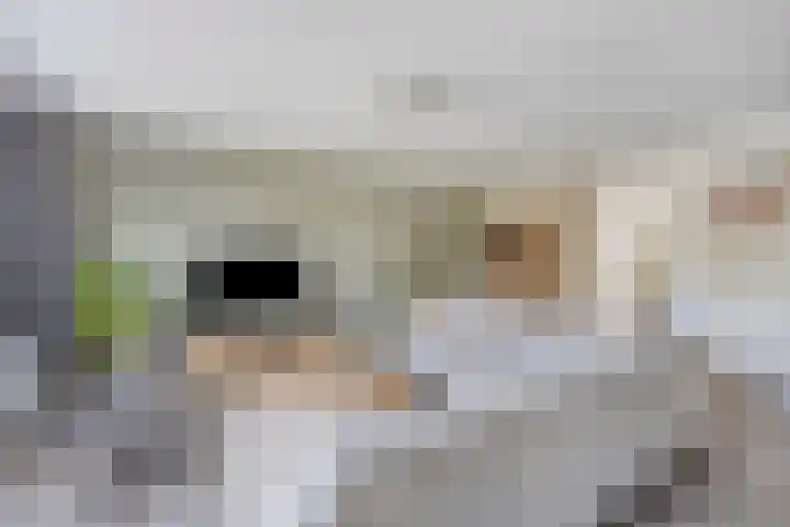 Mergelven 43 Veghel thumbnail 12