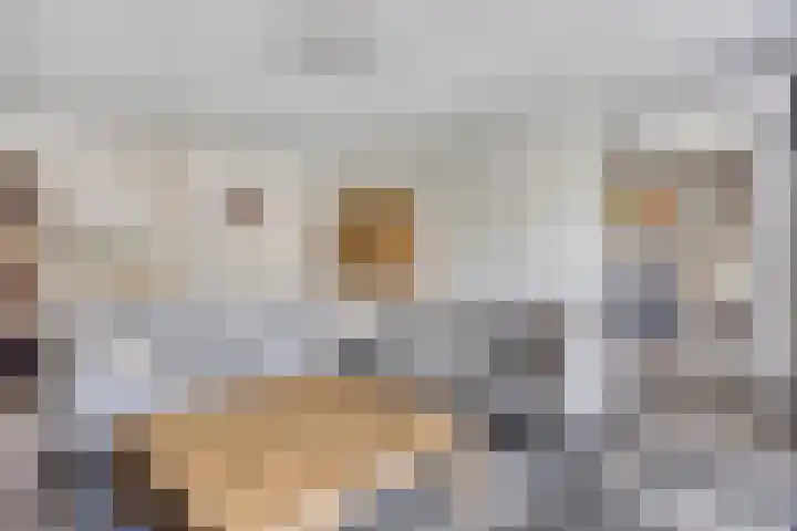 Mergelven 43 Veghel thumbnail 13