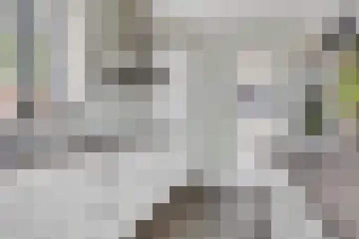 Mergelven 43 Veghel thumbnail 18