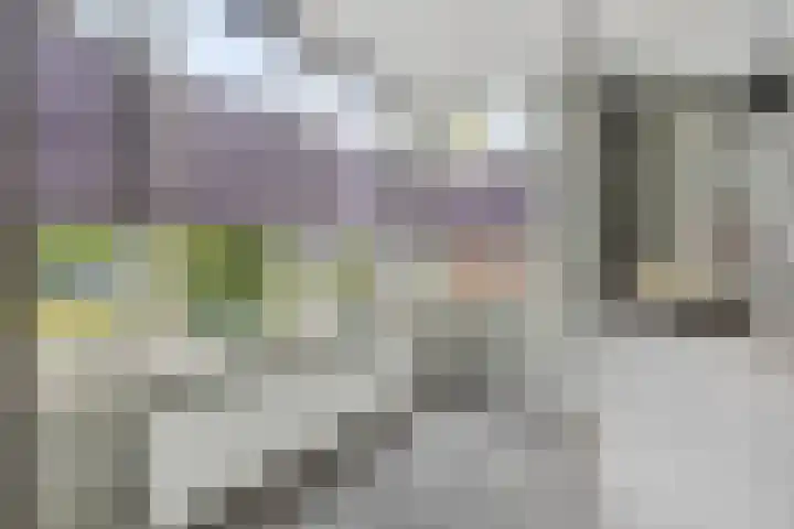 Mergelven 43 Veghel thumbnail 20