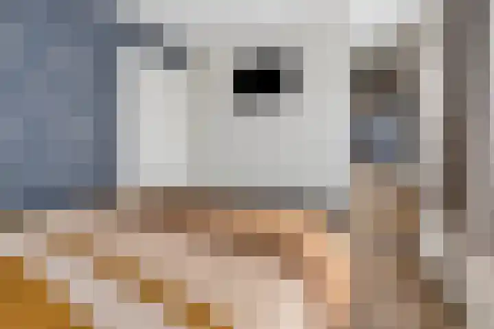 Mergelven 43 Veghel thumbnail 24