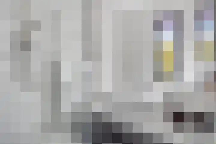 Mergelven 43 Veghel thumbnail 28