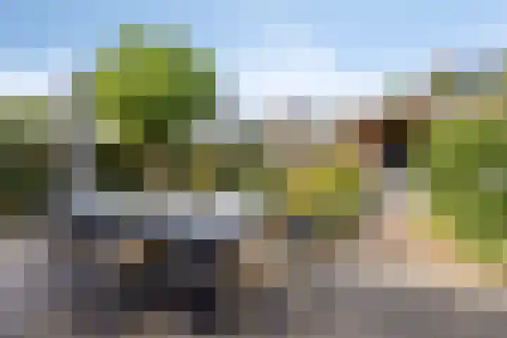 Mergelven 43 Veghel thumbnail 36