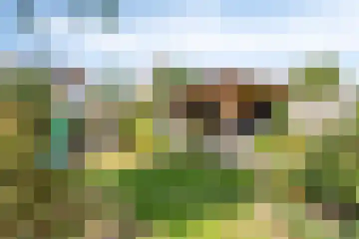 Mergelven 43 Veghel thumbnail 37