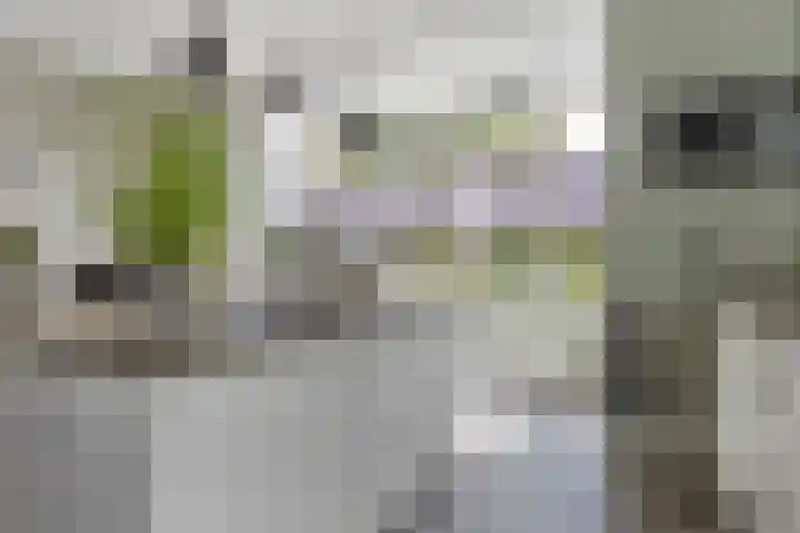 Mergelven 43 Veghel thumbnail 4