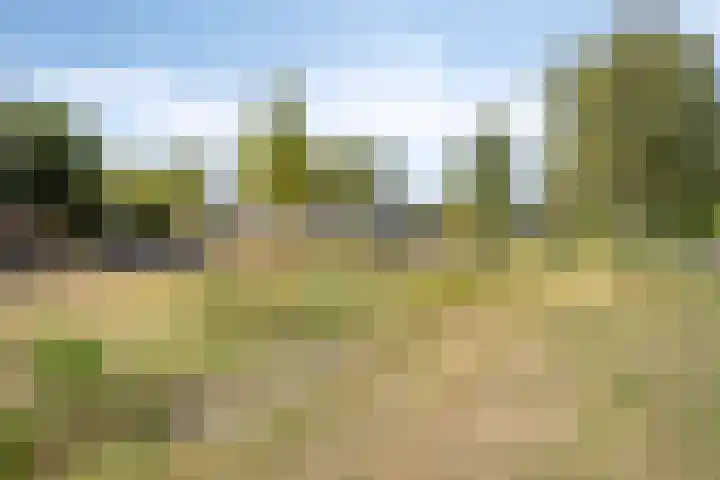 Mergelven 43 Veghel thumbnail 42