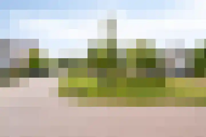 Mergelven 43 Veghel thumbnail 43