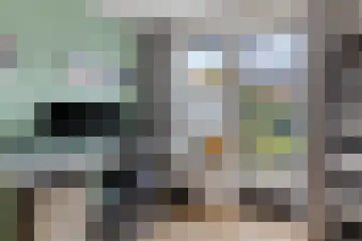 Mergelven 49 Veghel thumbnail 10