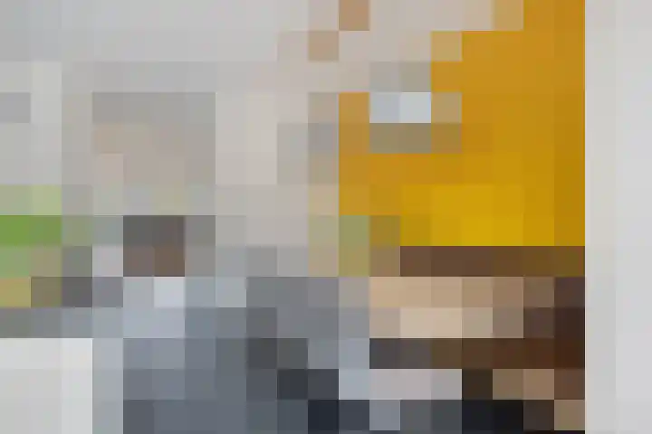 Mergelven 49 Veghel thumbnail 13