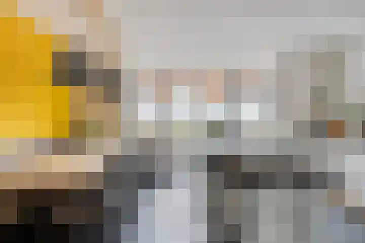 Mergelven 49 Veghel thumbnail 15