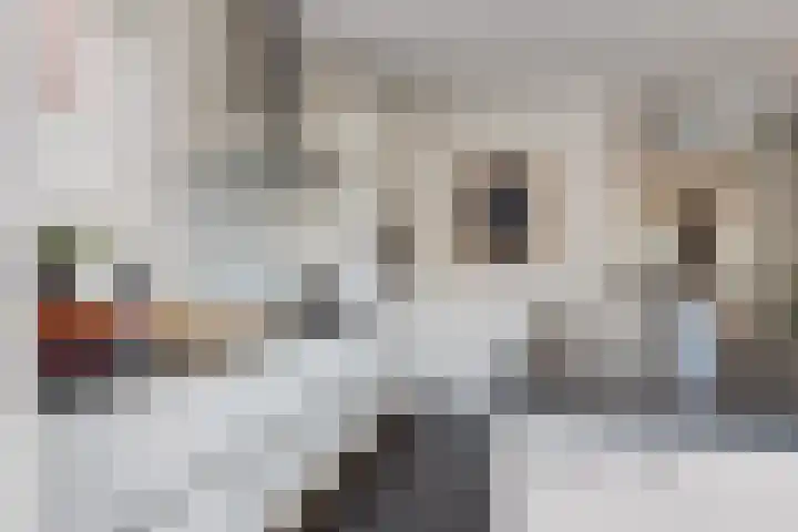 Mergelven 49 Veghel thumbnail 17