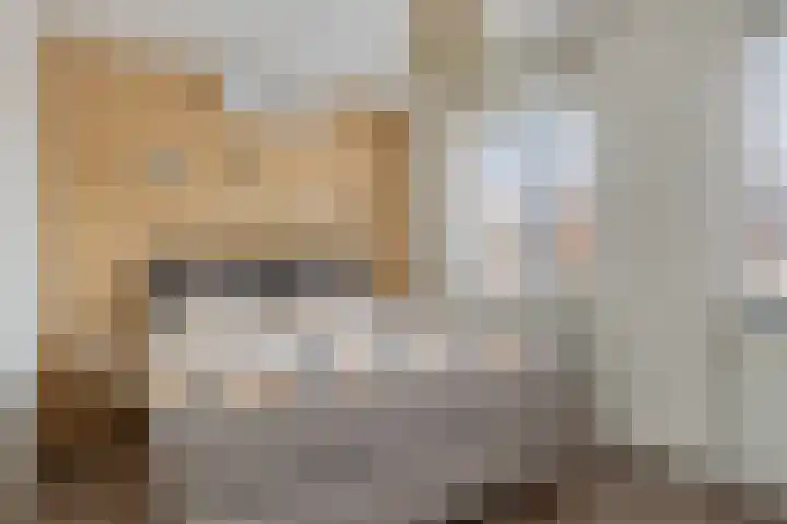 Mergelven 49 Veghel thumbnail 23
