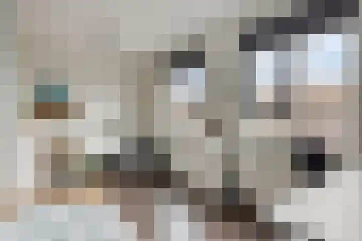 Mergelven 49 Veghel thumbnail 26