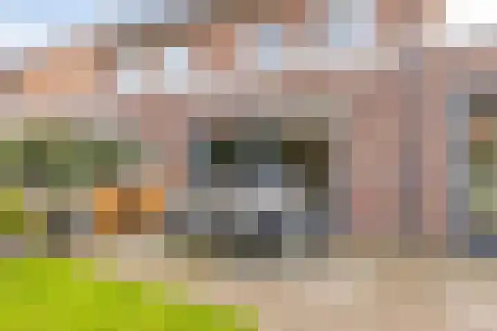 Mergelven 49 Veghel thumbnail 30