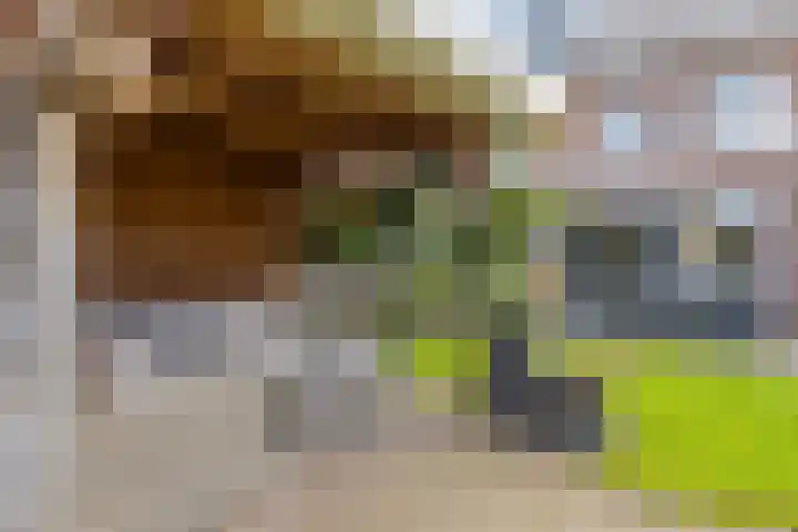 Mergelven 49 Veghel thumbnail 33