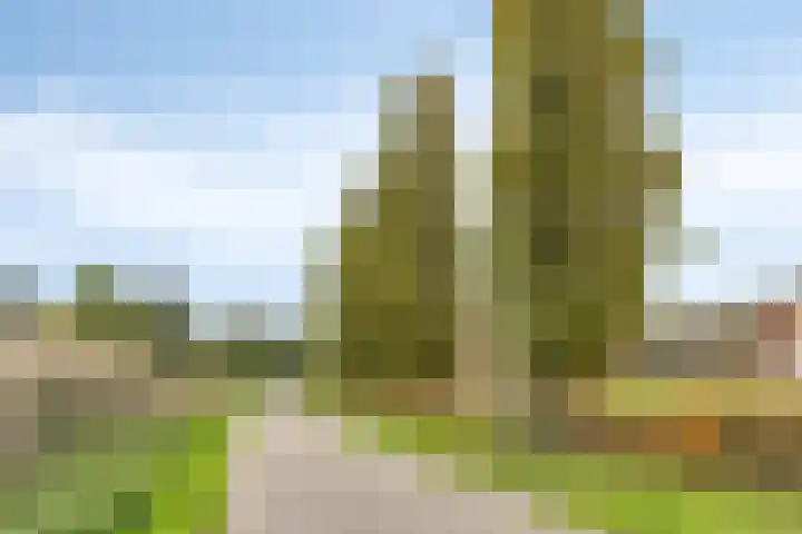 Mergelven 49 Veghel thumbnail 34