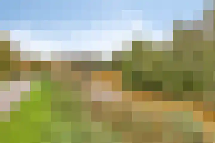 Mergelven 49 Veghel thumbnail 36