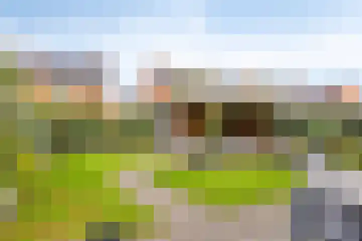 Mergelven 49 Veghel thumbnail 4
