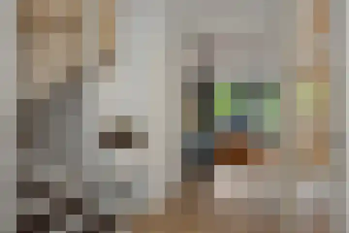 Mergelven 54 Veghel thumbnail 10