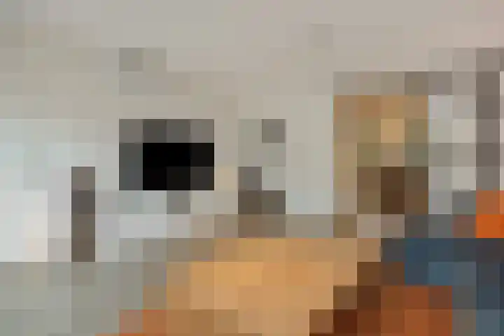 Mergelven 54 Veghel thumbnail 12