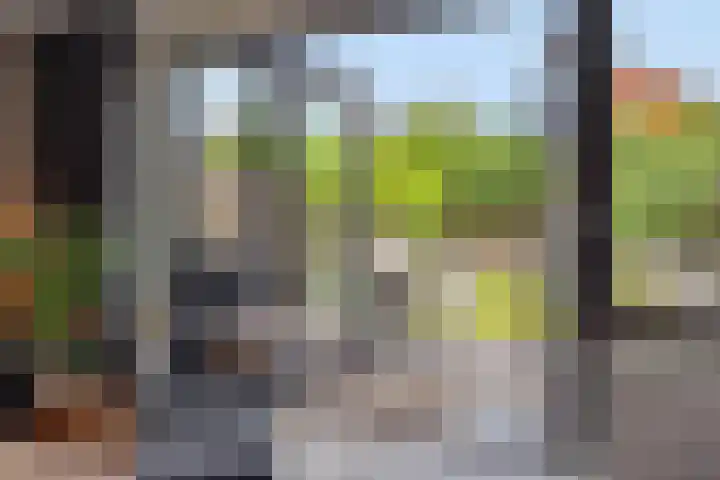 Mergelven 54 Veghel thumbnail 15