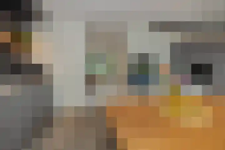 Mergelven 54 Veghel thumbnail 19