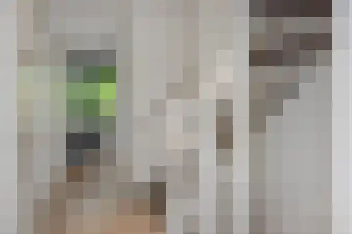 Mergelven 54 Veghel thumbnail 21
