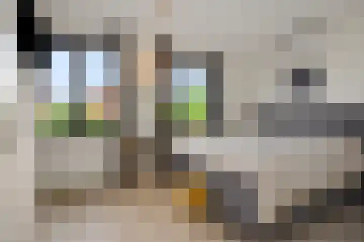 Mergelven 54 Veghel thumbnail 24