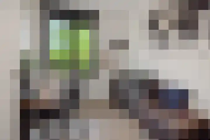 Mergelven 54 Veghel thumbnail 28
