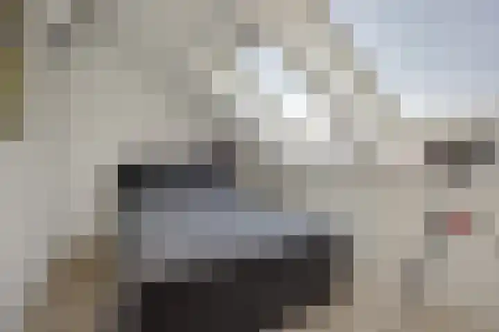 Mergelven 54 Veghel thumbnail 31