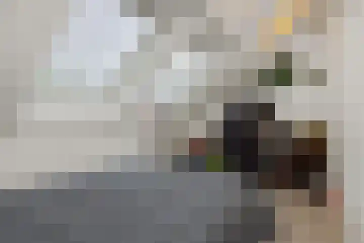 Mergelven 54 Veghel thumbnail 32
